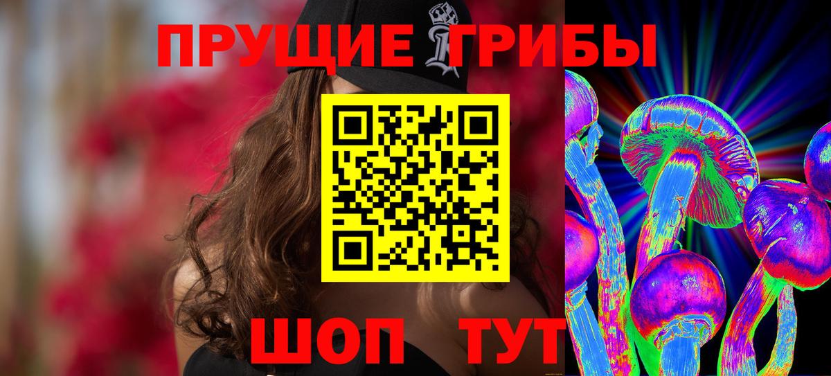 Усть-Джегута  Галлюциногенные грибы Psilocybe  Вход с VPN 